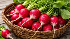 Giardino primaverile sul davanzale della finestra: quali ortaggi si possono coltivare in casa