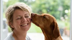 3 motivi per cui i cani leccano il viso dei loro padroni e cosa significano realmente