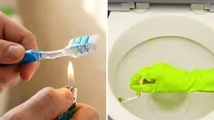 Cosa puoi realizzare con le tue mani da un vecchio spazzolino da denti: le idee migliori